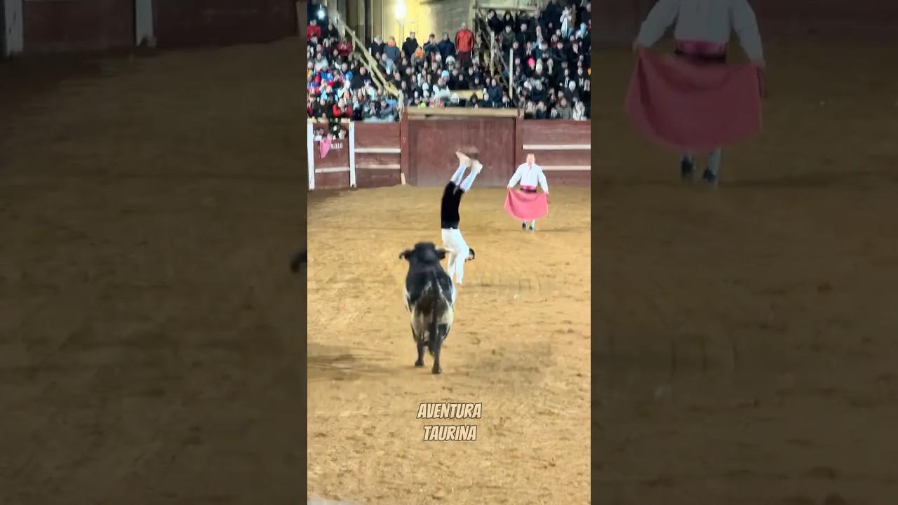 Impresionante La Rondada De Paquito Murillo Al Toro Bravo &iexcl;De Infarto! #shorts