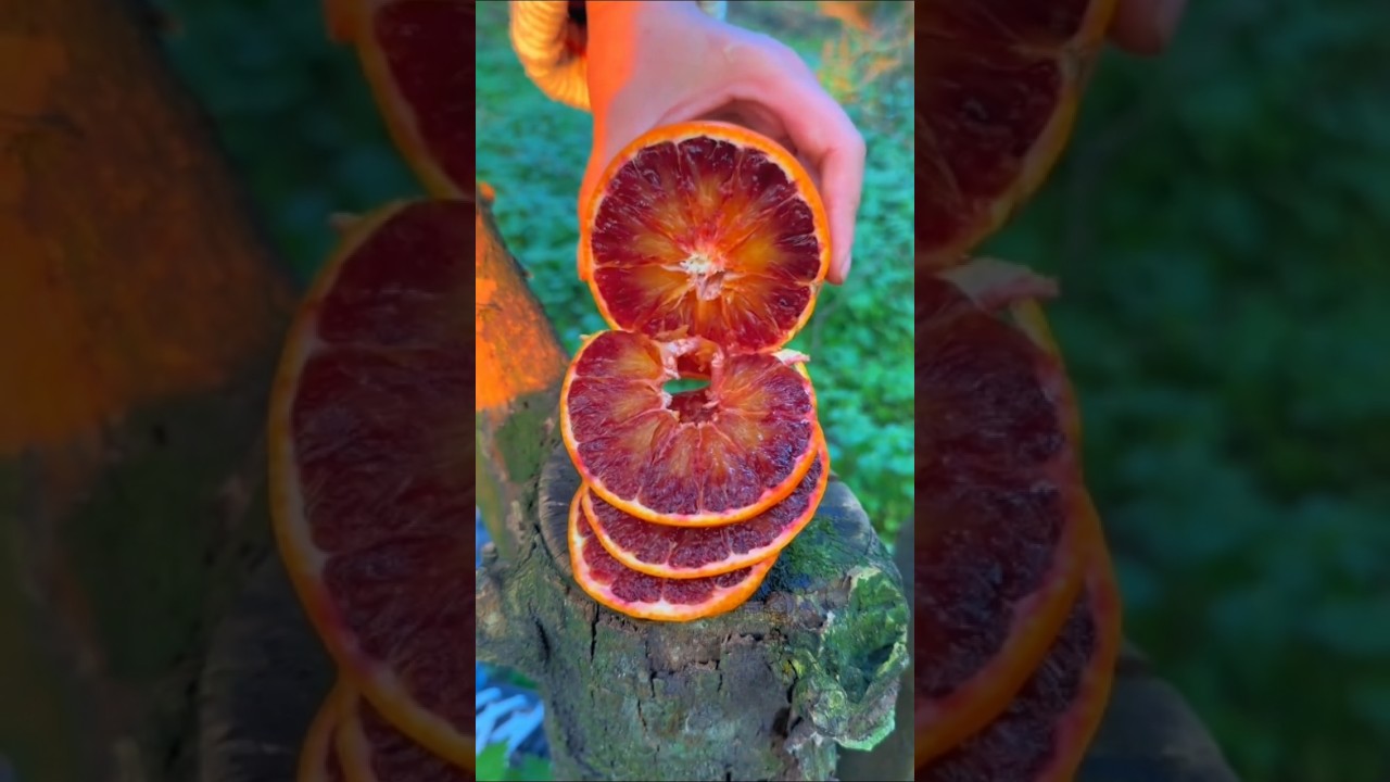 Awesome cutting fruit on tree #fruit #nature #satisfying #shorts