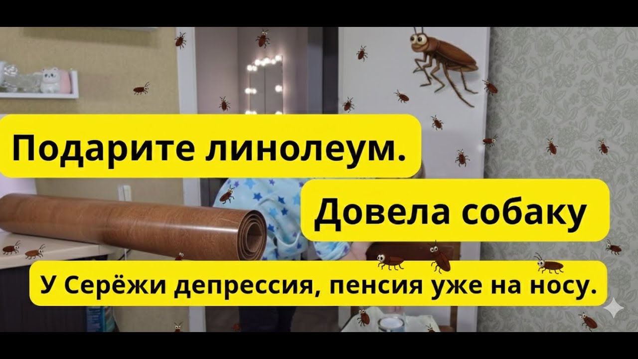 Обзор на канал Артисты. Подарите линолеум,  не могу купить. Тараканы бегают по столу . Довела собаку