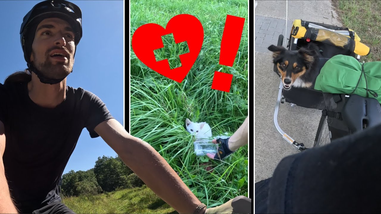 Mit HUND und Rad nach DUBLIN! - 1800km Bikepacking Adventure - Part #01