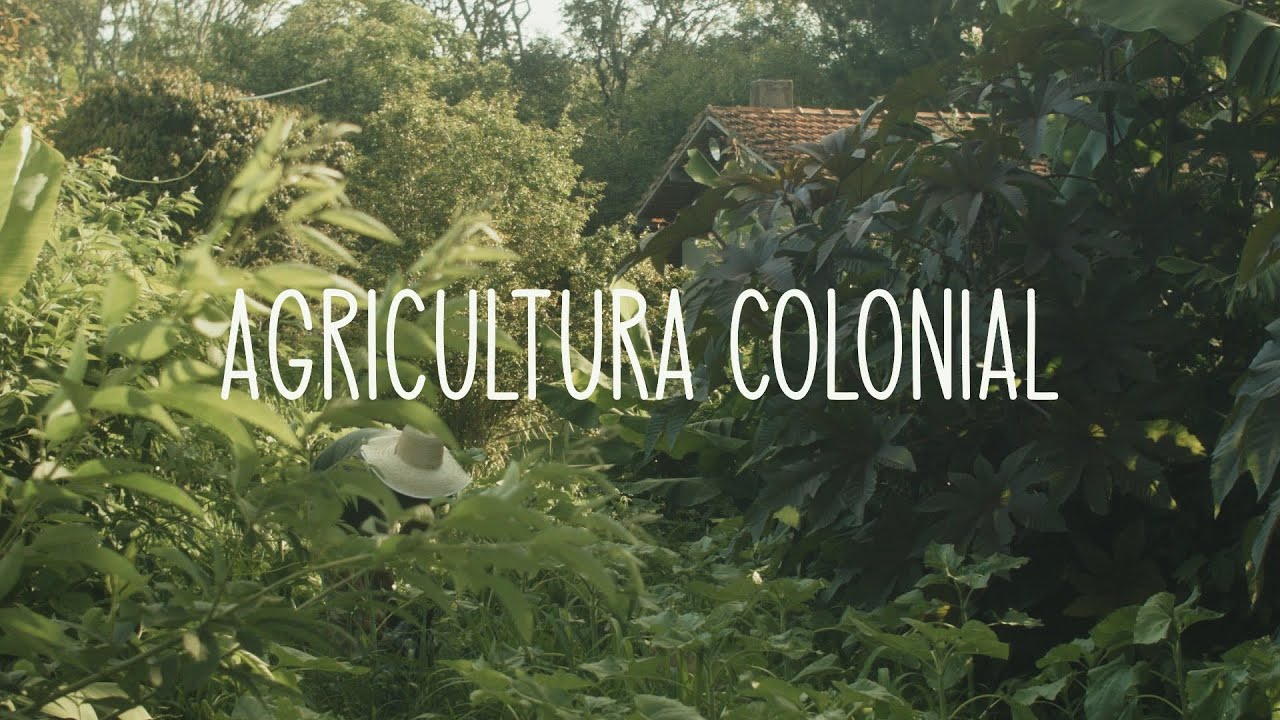 Agricultura e o Fim do Mundo, Capítulo V - Agricultura Colonial