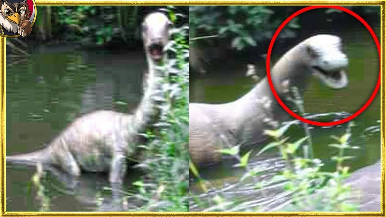 50種の絶滅した動物の映像
