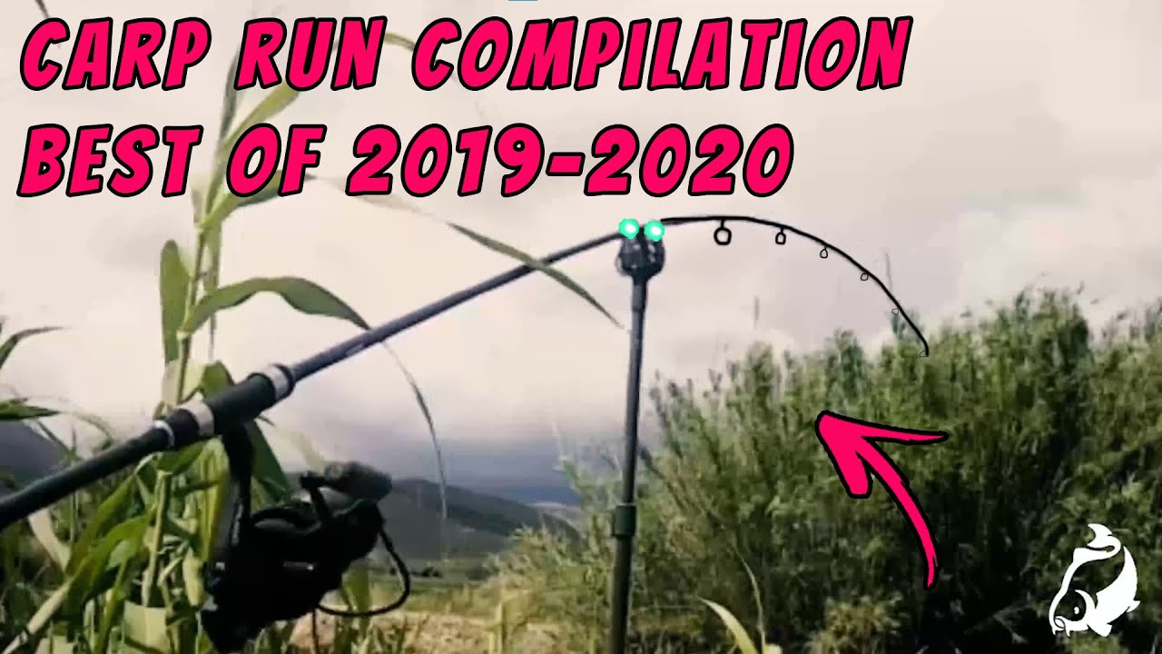 CARP RUN COMPILATION! FOX Mxr+ / DELKIM / NASH SIREN R3! BEST OF 2019-2020!