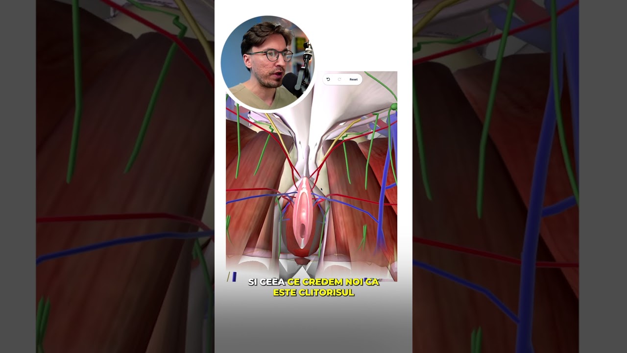 Clitorisul este organul sexual al plăcerii. Tu știai asta❓👨🏼&zwj;⚕️🌷