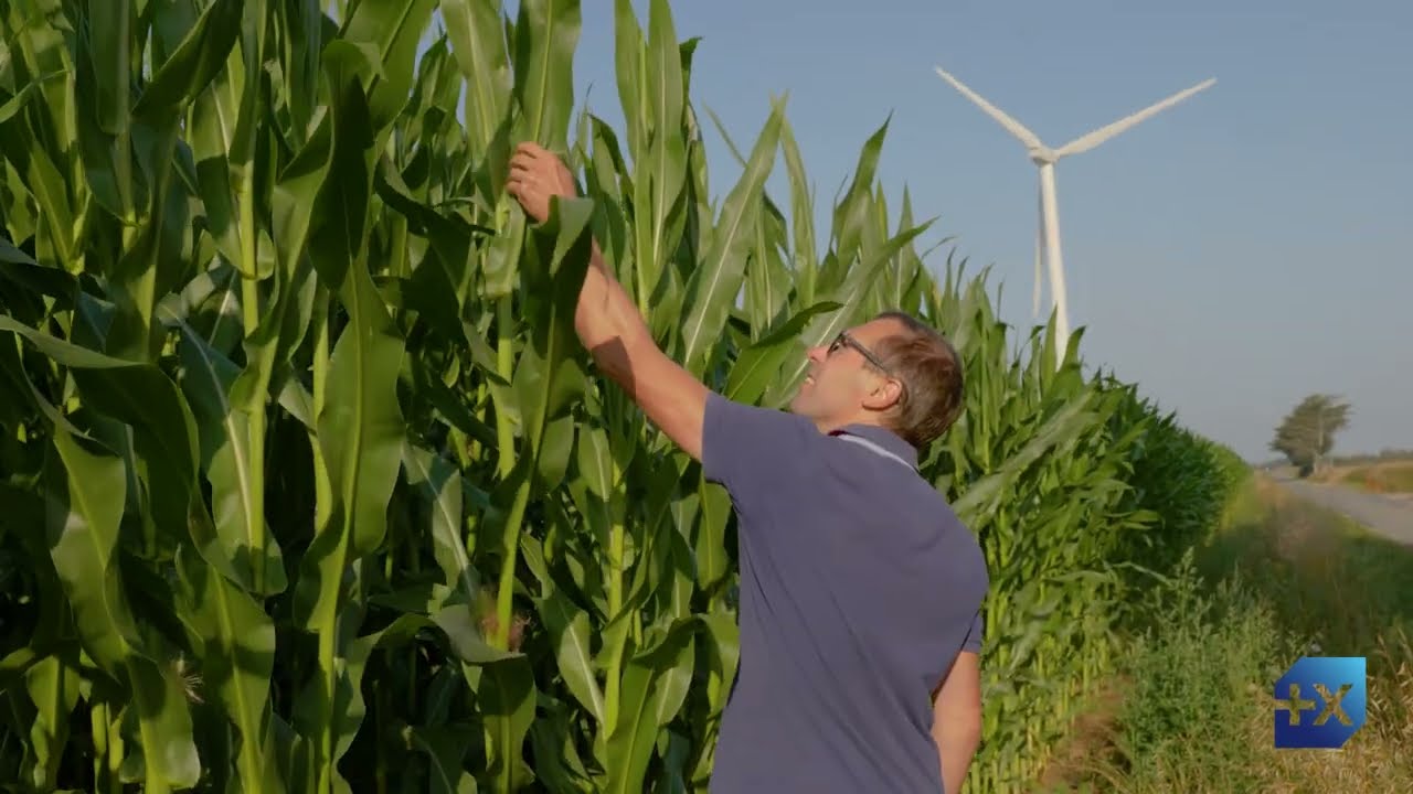Prix de la Dynamique Agricole 2023 - 1er Prix Département 35 - SCEA LA VILLE ES ARCHERS