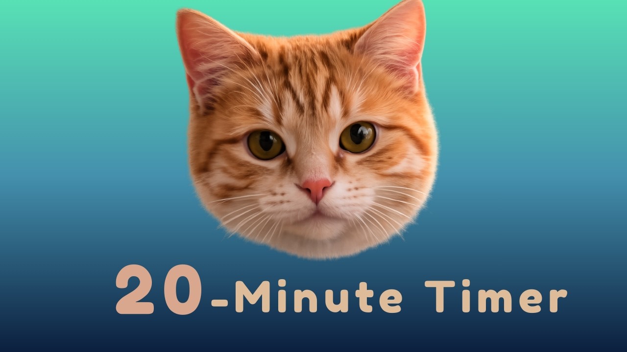 🐱⏱️ 20-Minute FOCUS Timer.