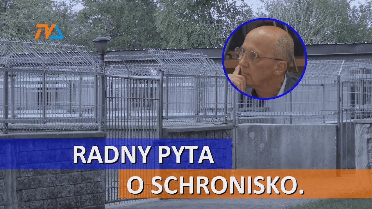 Radny pyta o schronisko. Mieszka tam ponad setka psów. |TV SUWAŁKI