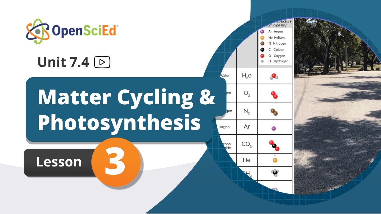 Unit 7.4 Lesson 3 Planning Video | OpenSciEd On-Demand Resources