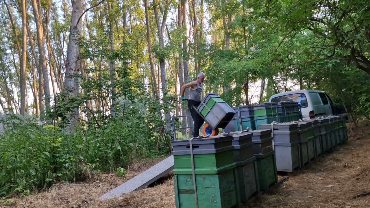 2022 naprára pakolás