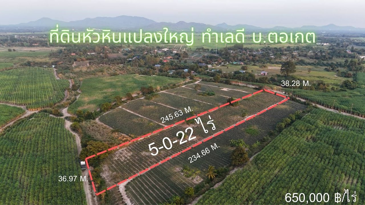 🏝ที่ดินหัวหิน 5 ไร่ ทำเลทอง ใกล้เมือง ใกล้ทะเล ไร่ละ 650,000 บาท | น่าซื้อไหม?🤔