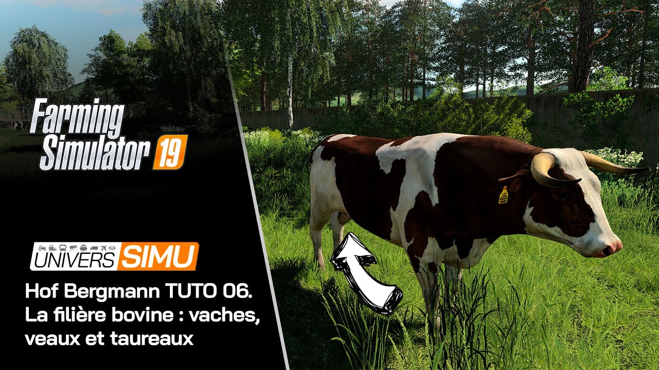 Hof Bergmann FS 19 TUTO 06. La filière bovine