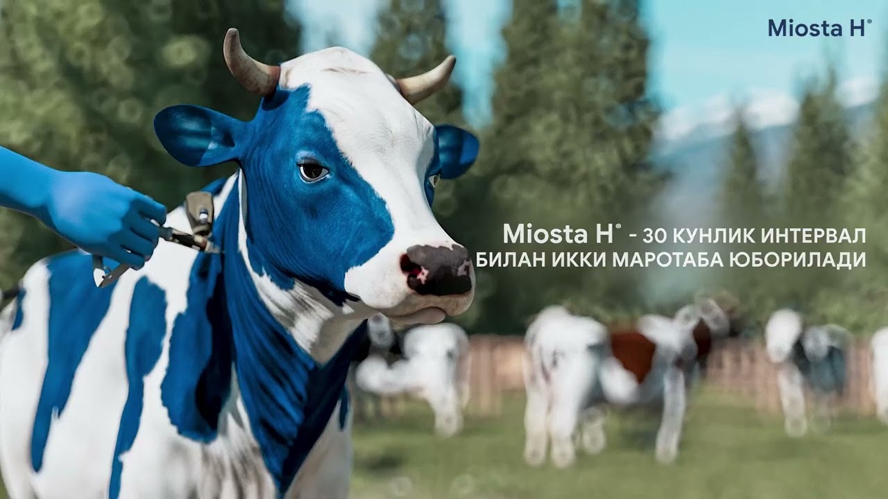 Miosta H&reg; yangi retsept bo'yicha dori taqdimoti.