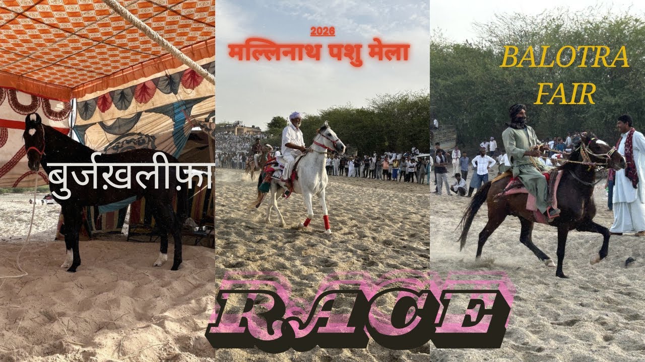  mele me race मल्लिनाथ पशु मेला 2026 🔥|| gypsy farm sinli 🐴❤️ || Rajasthan vlogs 
