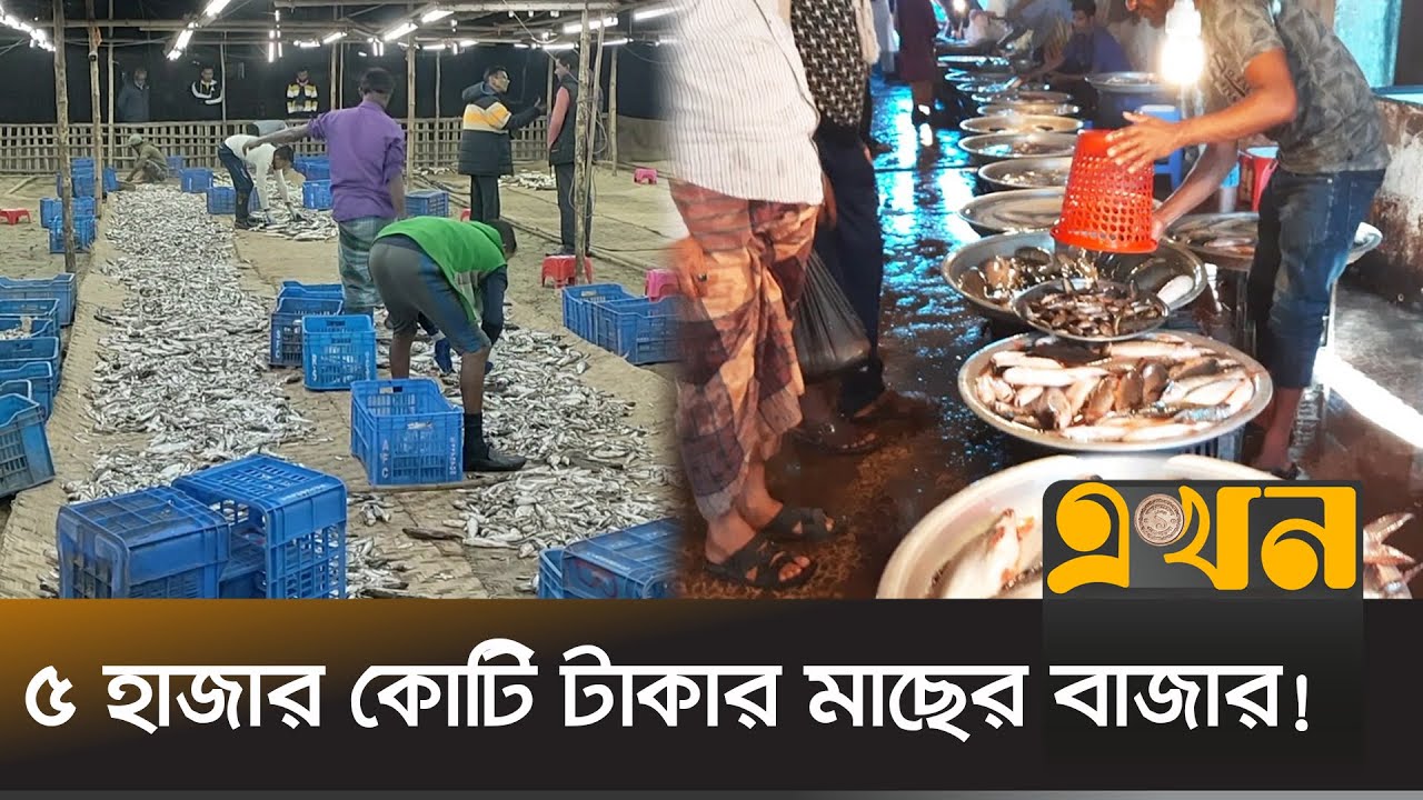 সুনামগঞ্জের মাছের চাহিদা ঢাকাসহ সারাদেশে | Fish Market | Sunamganj News | Ekhon TV