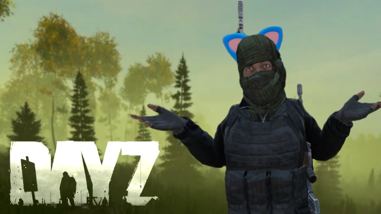 My first DayZ 1.14 experience