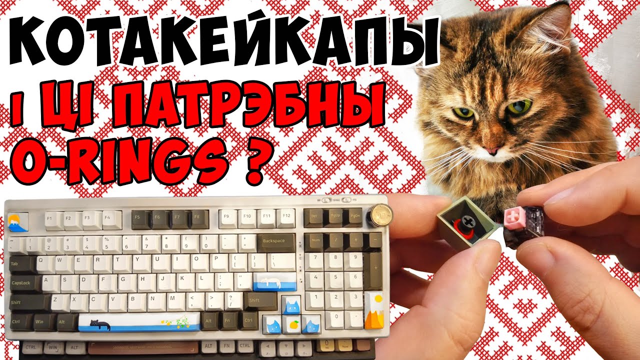 Котакейкапы і ці  патрэбны O-RINGS у 2025 | CatKeycaps and are o-rings needed in 2025?