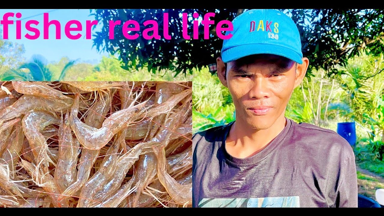 Rural Fishing Life: Setting Shrimp Traps