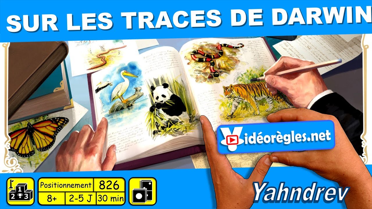 Vidéorègle Jeu de Société 