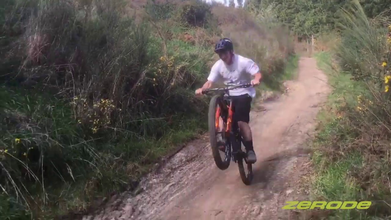 Shrezilla