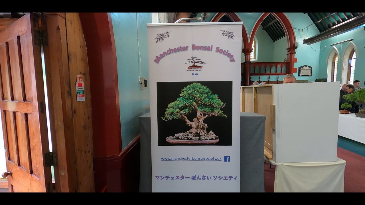 Manchester Bonsai Show @ Lymm  United Reform Church