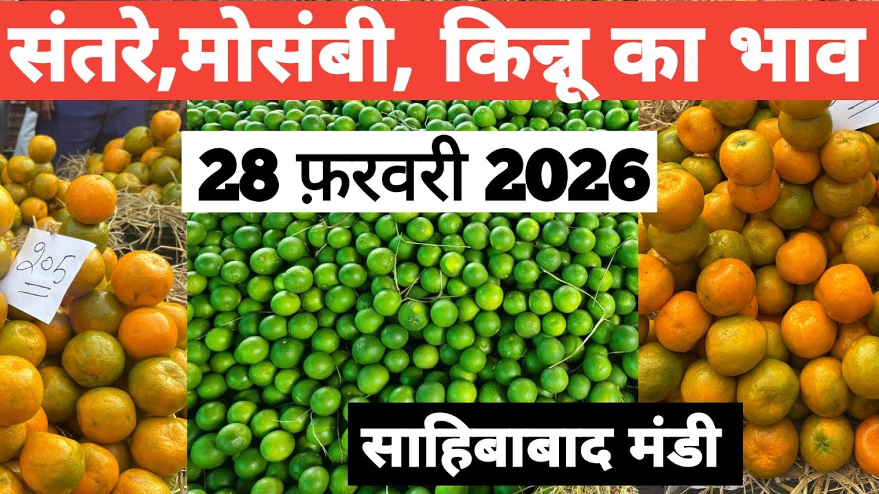 28 February 2026 🍊🍊 संतरे,मोसम्मी का भाव साहिबाबाद मंडी | today orange rates #grapes #orange 