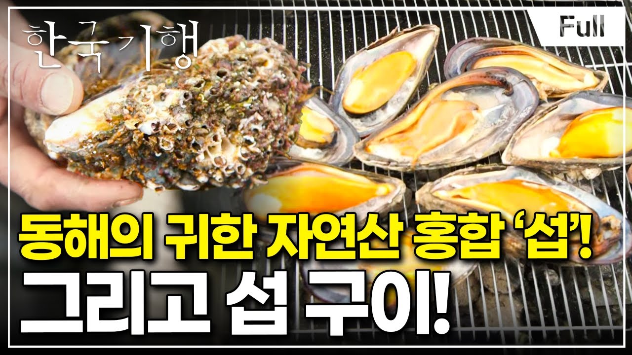 [Full] 한국기행 - 여행책에 없는 강원도 제5부 가을엔 동해로 간다