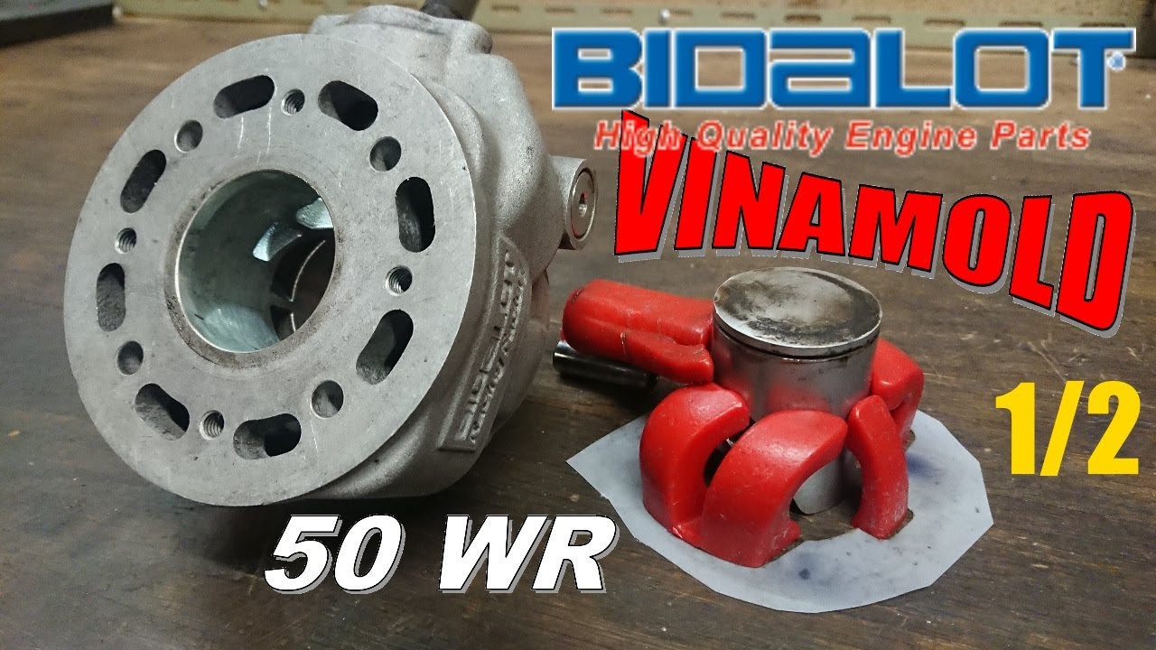 Moulage Vinamold du Bidalot 50WR AM6