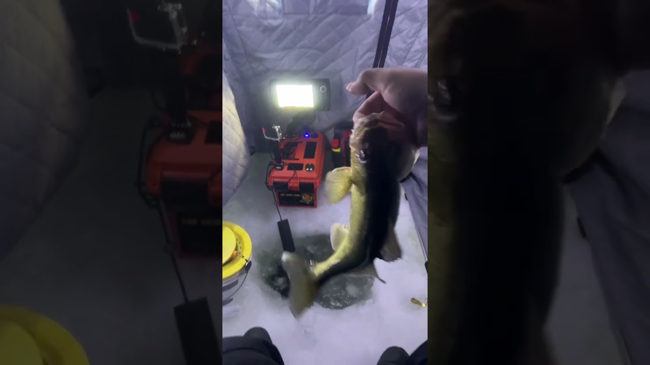 First Ice Fishing Trip to Quinte 2023