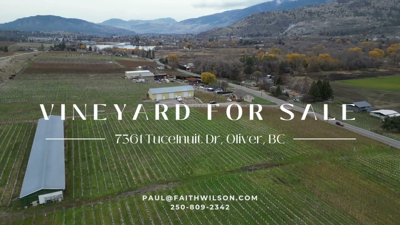 7361 Tucelnuit Dr, Oliver BC  - faithwilson | Christie's International Real Estate