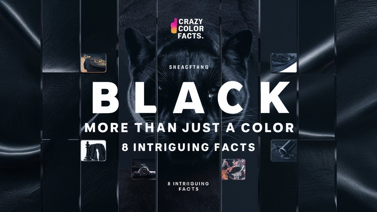 Black More Than Just a Color 8 Intriguing Facts| Crazy Color Facts.