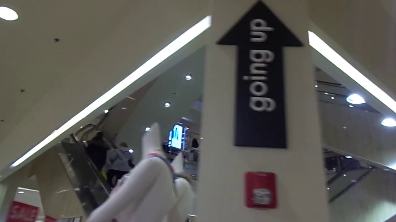 Boscov's Monmouth Mall  Eatontown, New Jersey (Otis Escalators)