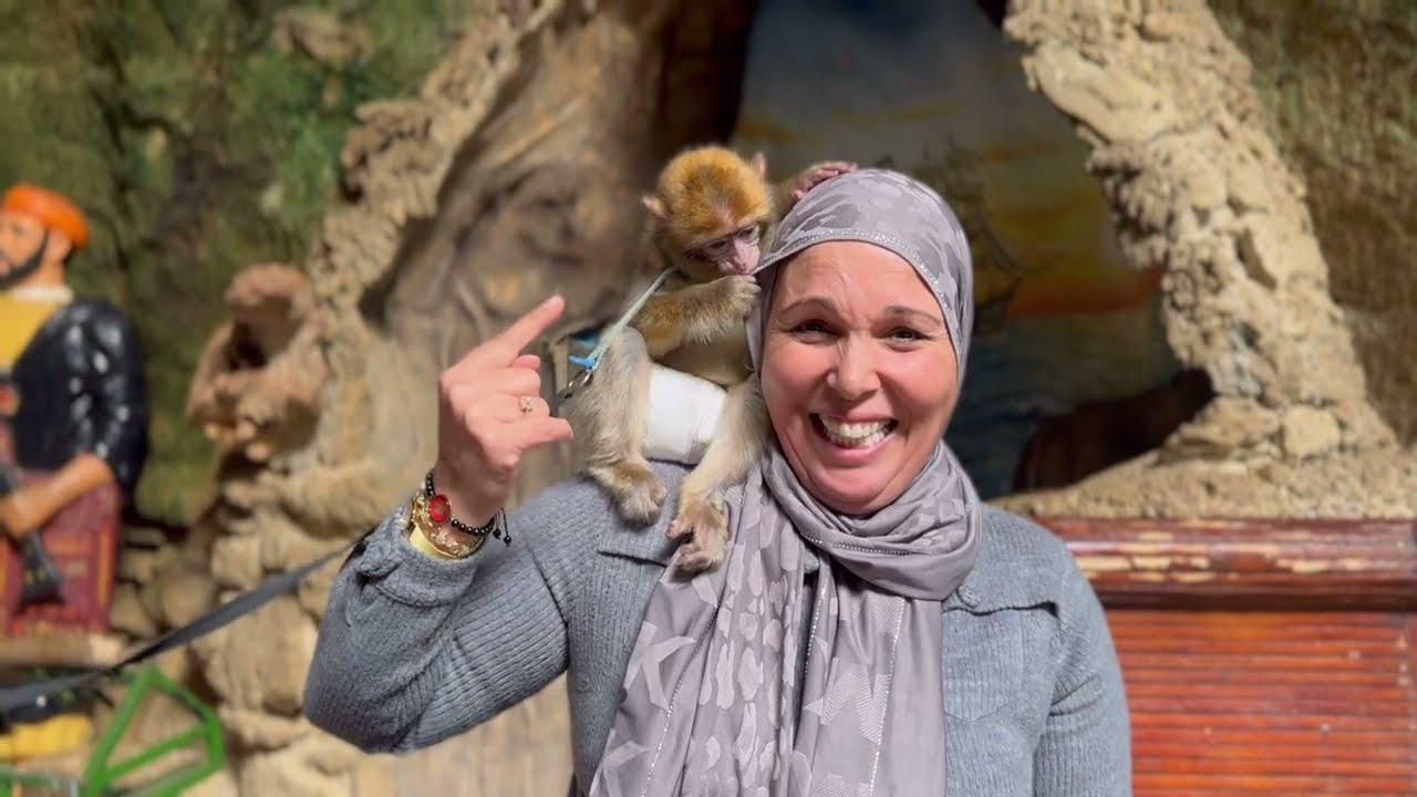 مغارة  هرقل  من أجمل الاماكن  بمدينة  طنجة الجميلة ❤❤