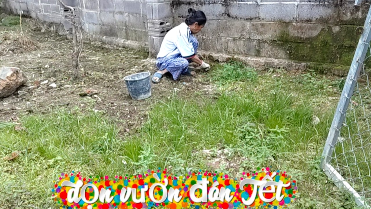Vợ chồng Việt Đức:)#266# dọn cỏ vườn để hoàn thiện và đón tết