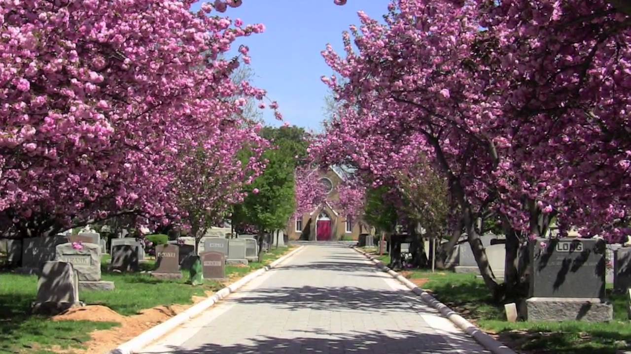 Congressional Cemetery