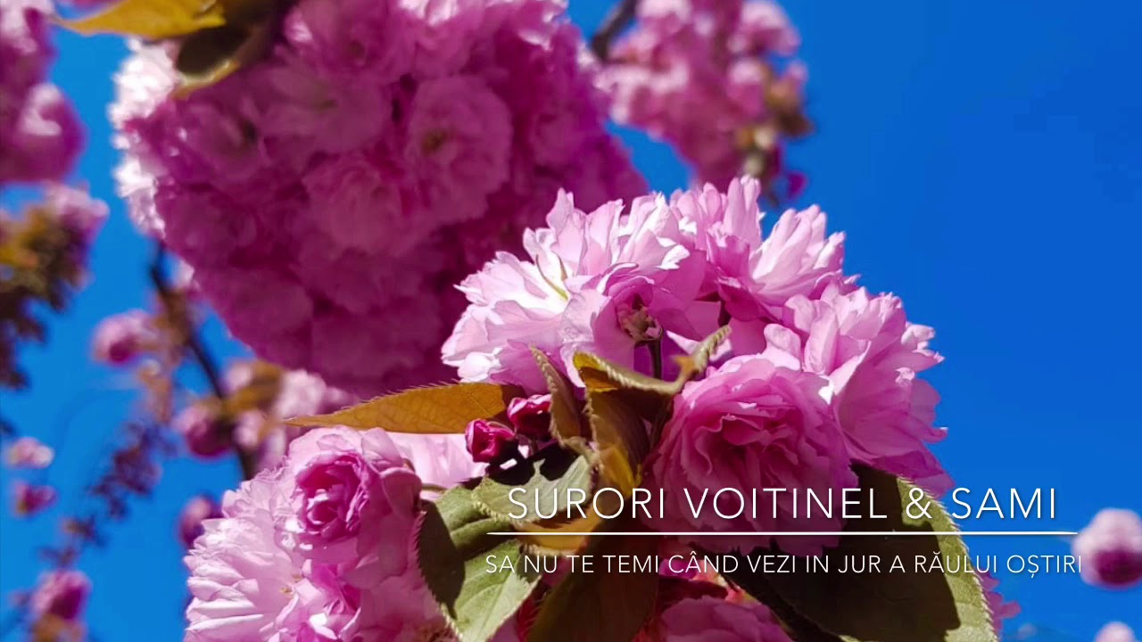 Sa nu te temi când vezi in jur a răului oștiri | Surori Voitinel & Sami