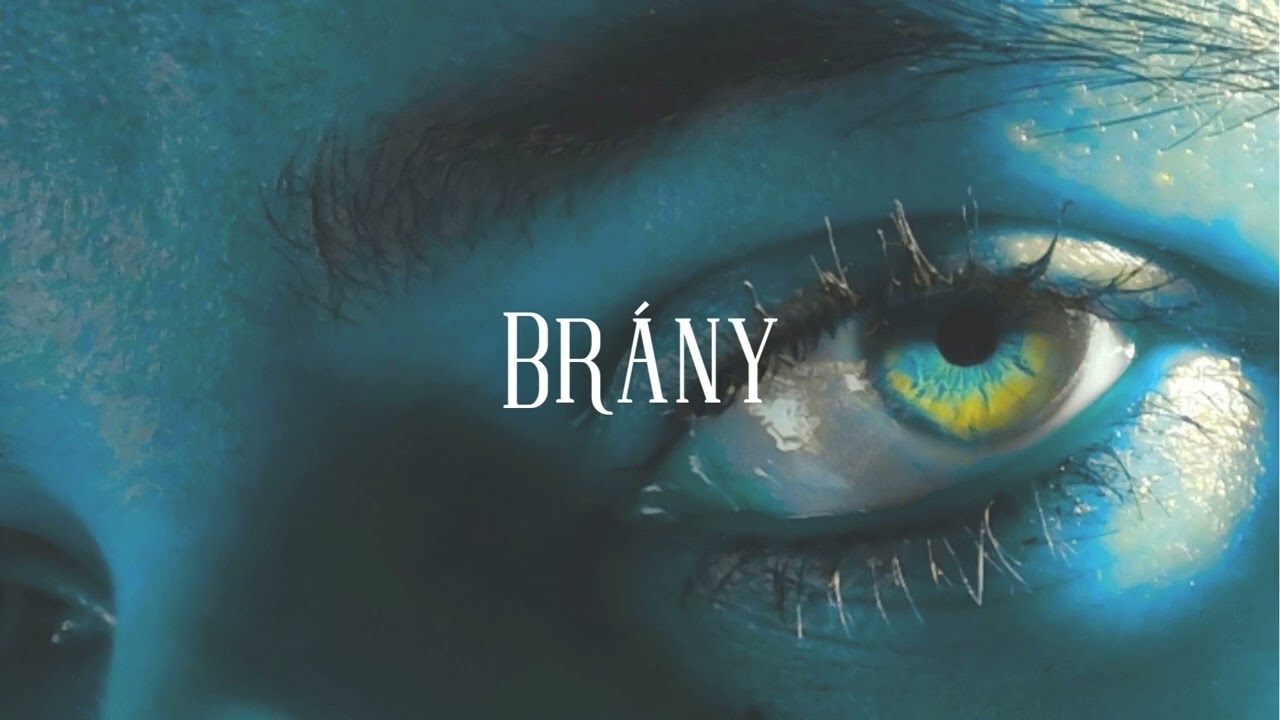 Brány