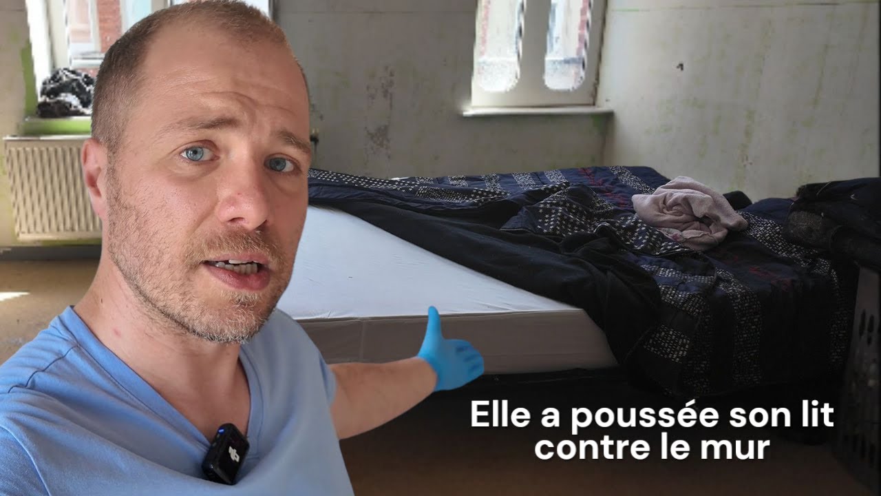 Punaises de lit : Pourquoi l’intervention seule du pro ne suffit pas ?