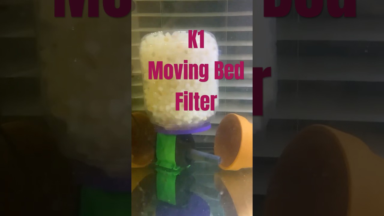 DIY Large in tank Moving Bed k-1 filter #diy #aquariumfilter #biomedia #k1 #filter  #howto #fish