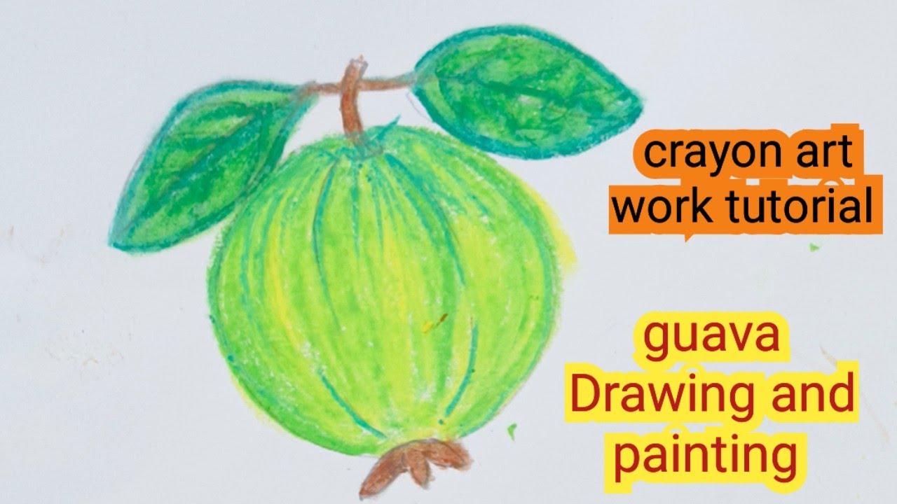 अमरूद का चित्र /Amrood ka Drawing/Guava Fruit Drawing Easy/How to draw guava 