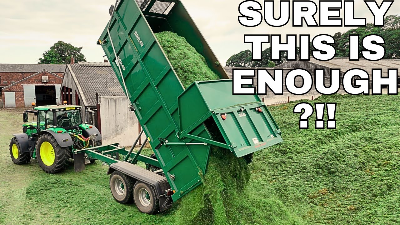 3rd Cut Grass Silaging 2024! From Field To Feed!