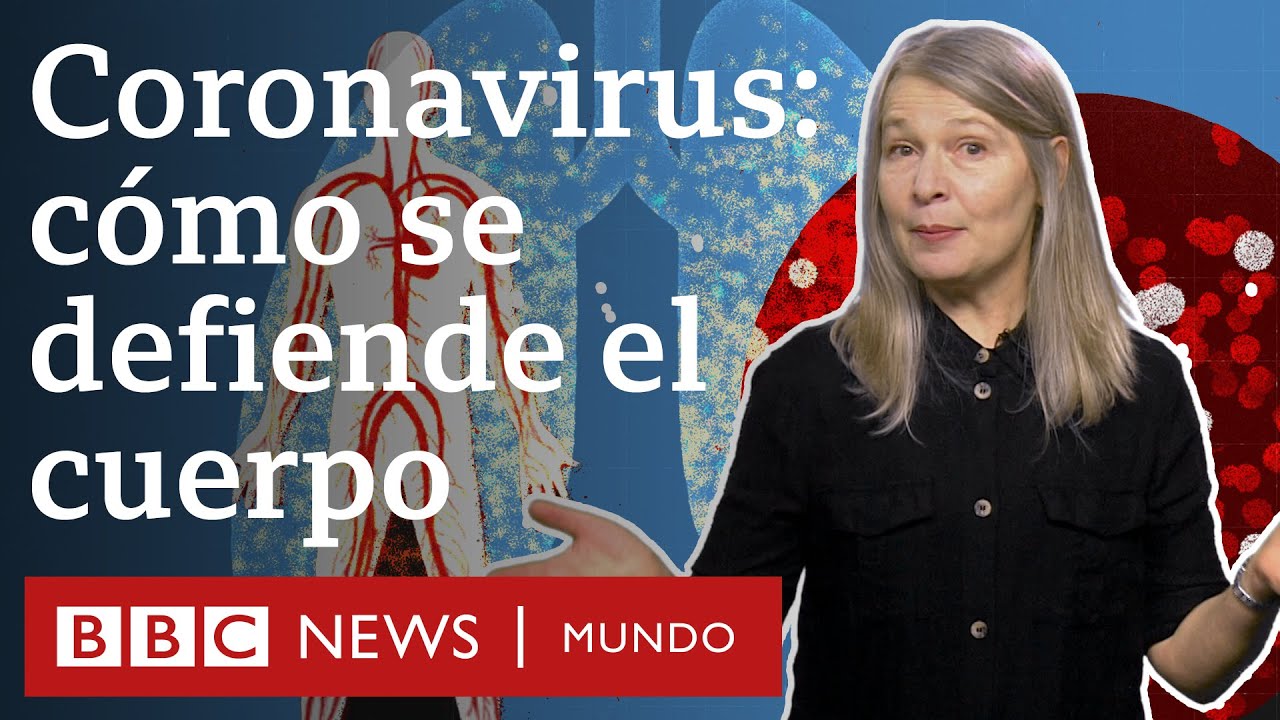 Cómo funciona el sistema inmunitario y qué hace cuando entra en contacto con el coronavirus