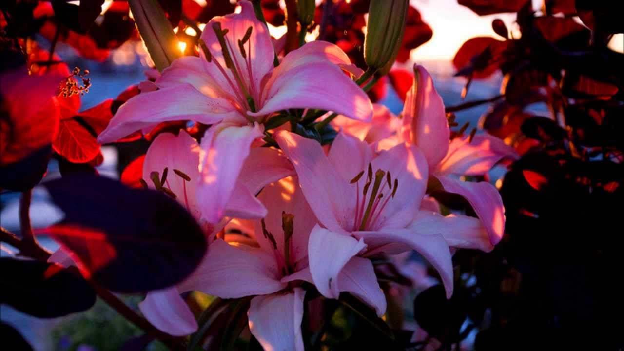 Antonio Cobo - Rodando