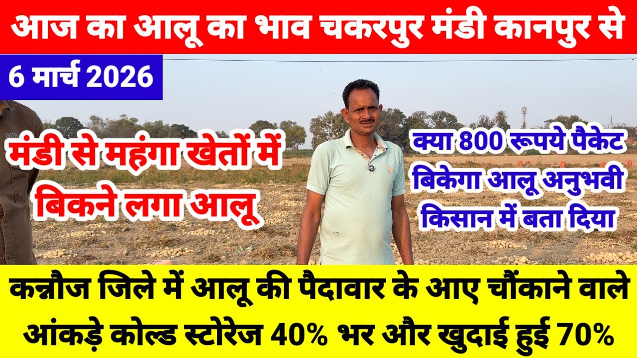 कन्नौज के किसान ने बताया आलू की पैदावार के चौंकाने वाले आंकड़े | मंडी से महंगा खेतों में बिक रहा आलू