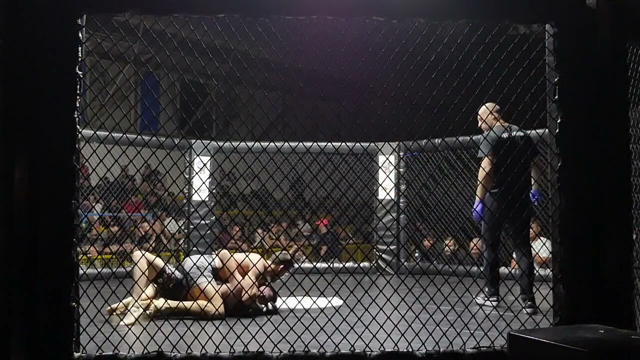 rookiefc3: Lombardi vs Verini