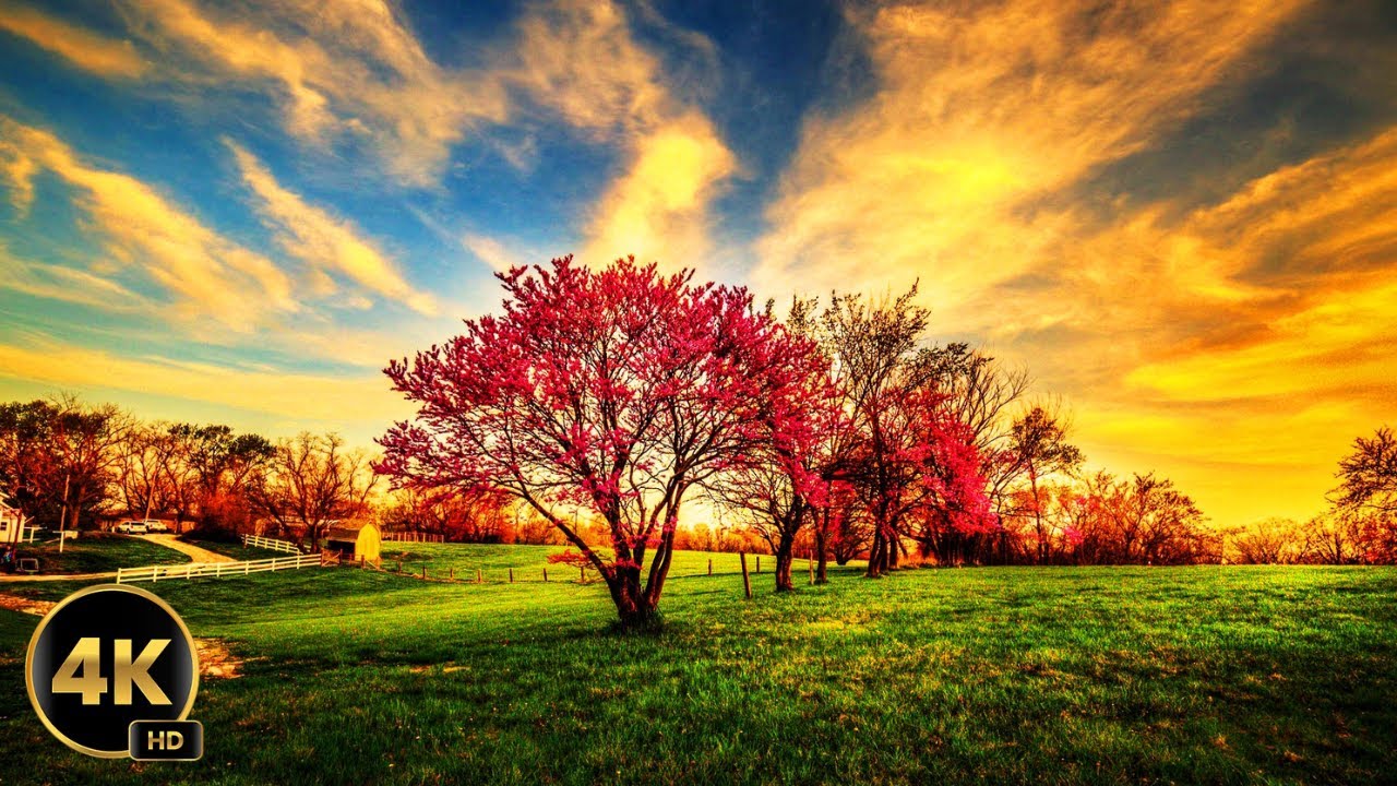 Discover Breathtaking Secrets of Nature with Free HD/4K Drone Shots!