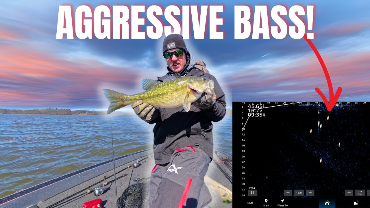 Winter Bass Shouldn’t Bite Like This… (Lay Lake)