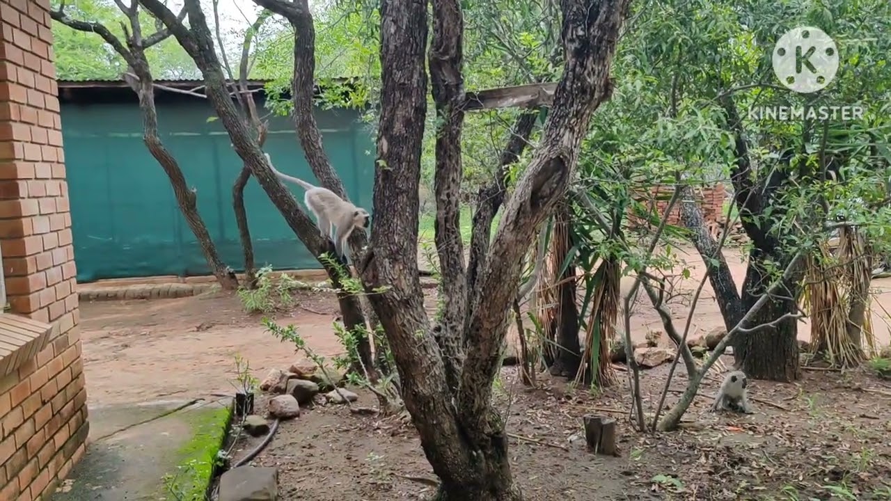 @  Marloth Park and Kruger National Park 