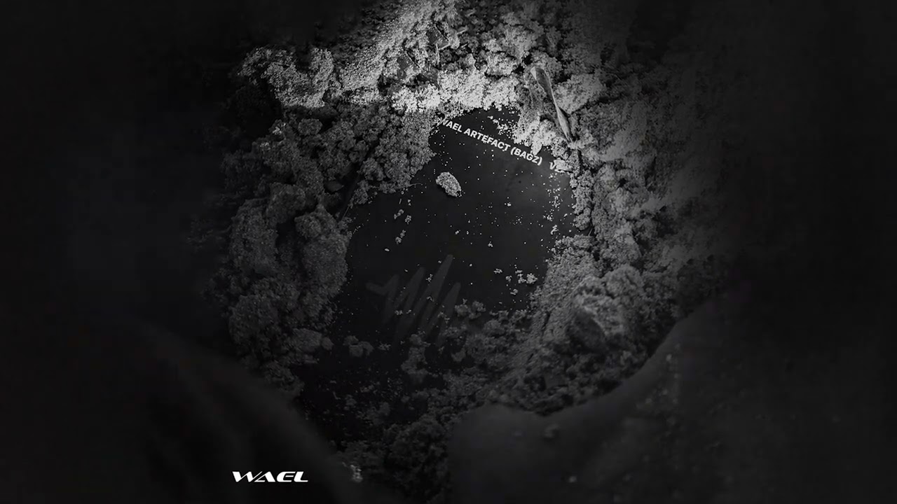 WAEL - ARTEFACT (Visualizer)