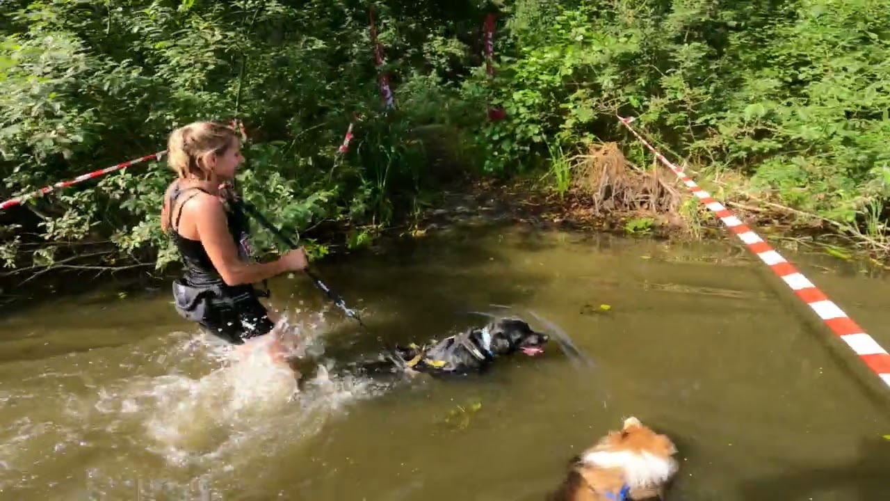 Hard Dog Race 2022