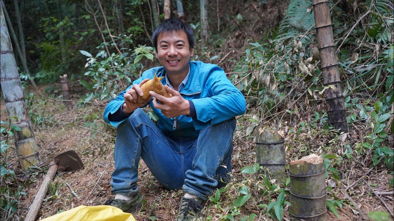 华农兄弟：上山砍竹子，顺便挖点竹笋回去炒腊肉，很好吃哦